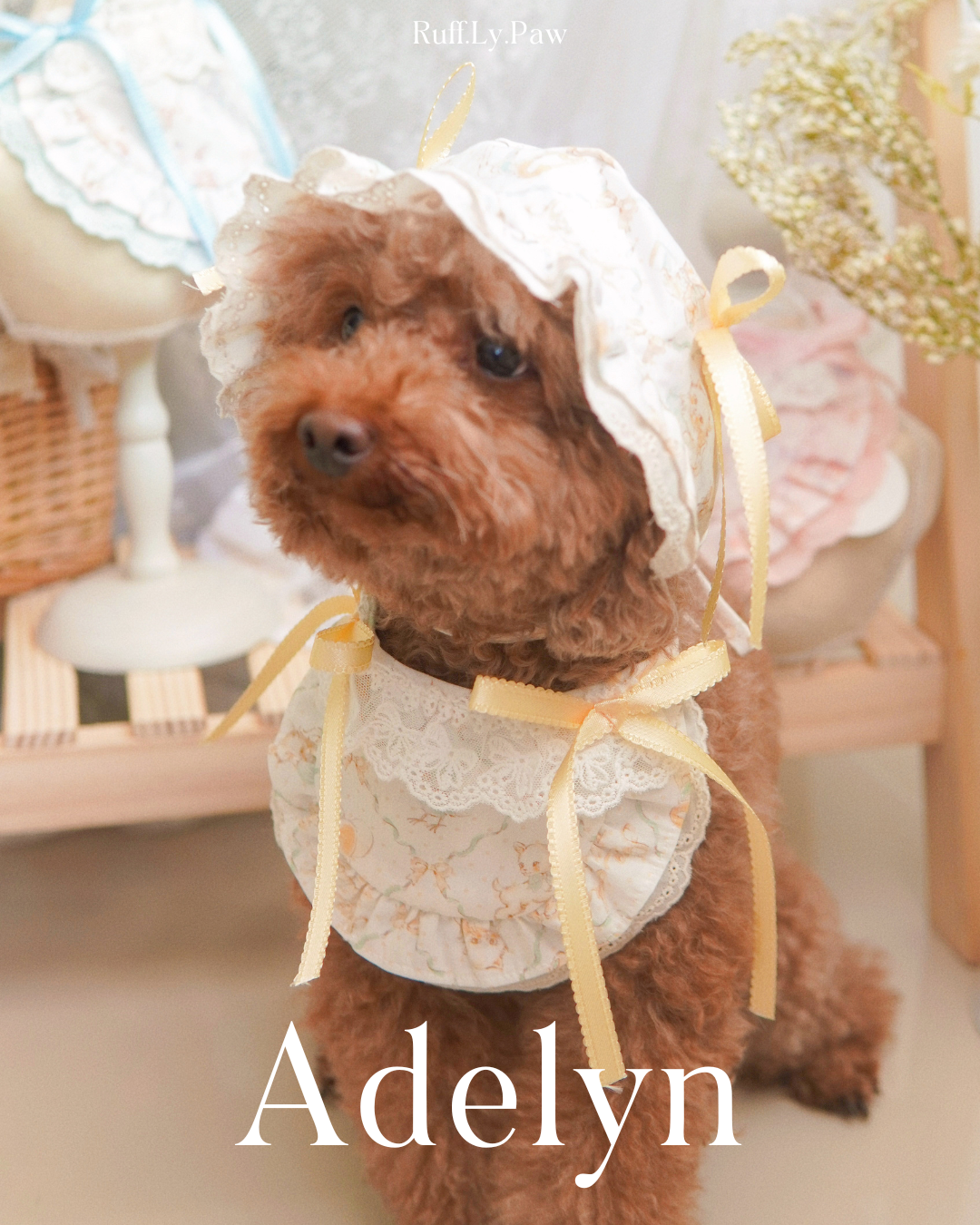 Adelyn Side Ribbon Bib Pet Collar