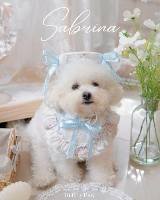 Sabrina Pet Collar and Matching Beret