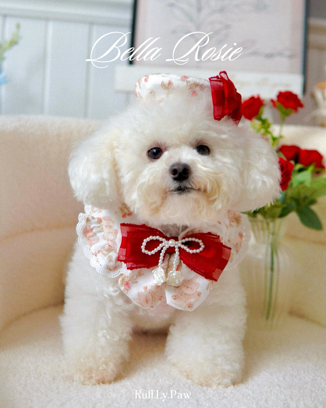 Bella Rosie Pet Collar and Matching Beret